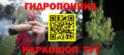 спайс Гусь-Хрустальный