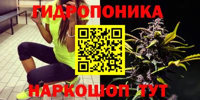 спайс Гусь-Хрустальный