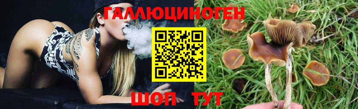 Нефтекамск  Псилоцибиновые грибы ЛСД  Вход с VPN  Псилоцибиновые грибы MAGIC MUSHROOMS 